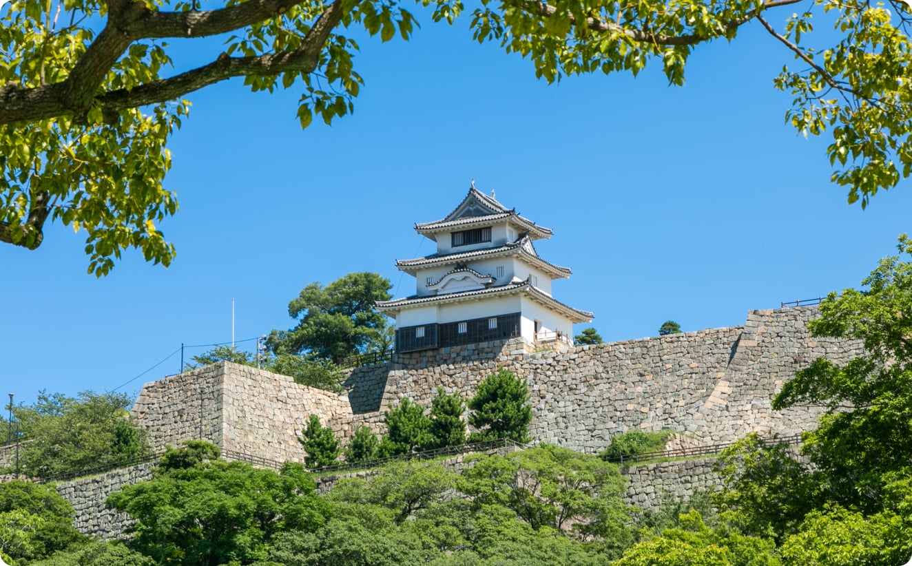 おすすめ情報観光地